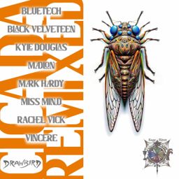 Cicada Remixes cover