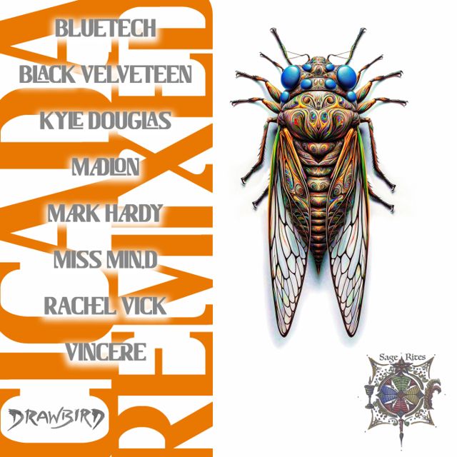 Cicada Remixes cover