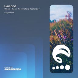 When I Knew You Before Yesterday cover