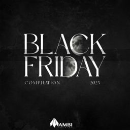 Black Friday Compilation 2025 cover