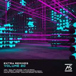 Extra Remixes, Vol. 20 cover