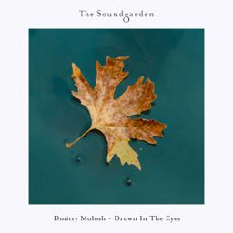 Drown In The Eyes cover