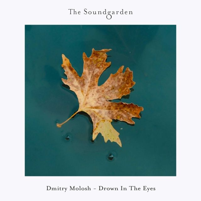 Drown In The Eyes cover