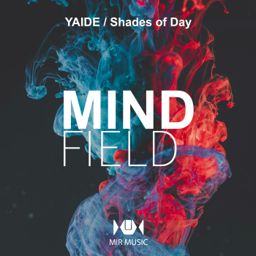 Mindfield cover