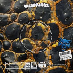 RECKLESS cover