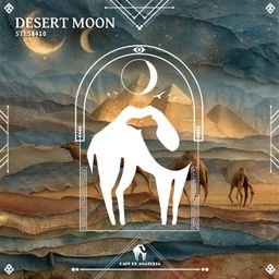 Desert Moon cover