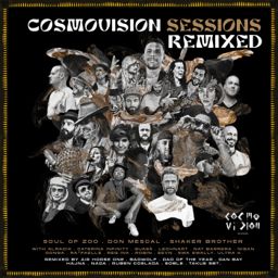 Cosmovision Sessions Remixed cover