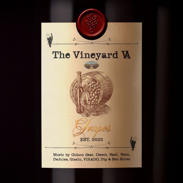 The Vineyard cover