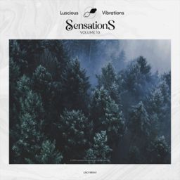 Sensations, Vol. 10 cover