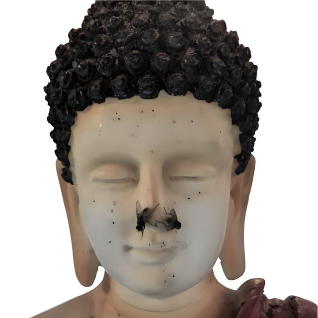 Maytreya cover