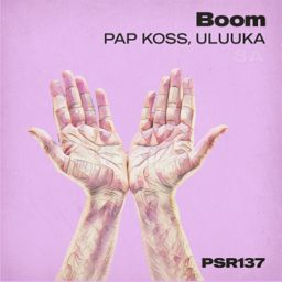 Boom cover