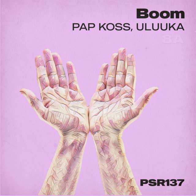 Boom cover