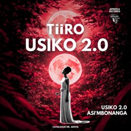 Usiko 2.0 cover