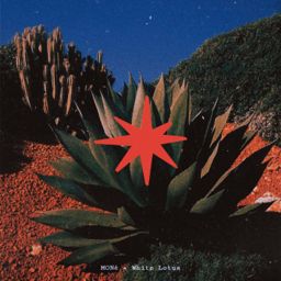 White Lotus cover