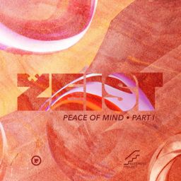 Peace of Mind - Part I cover