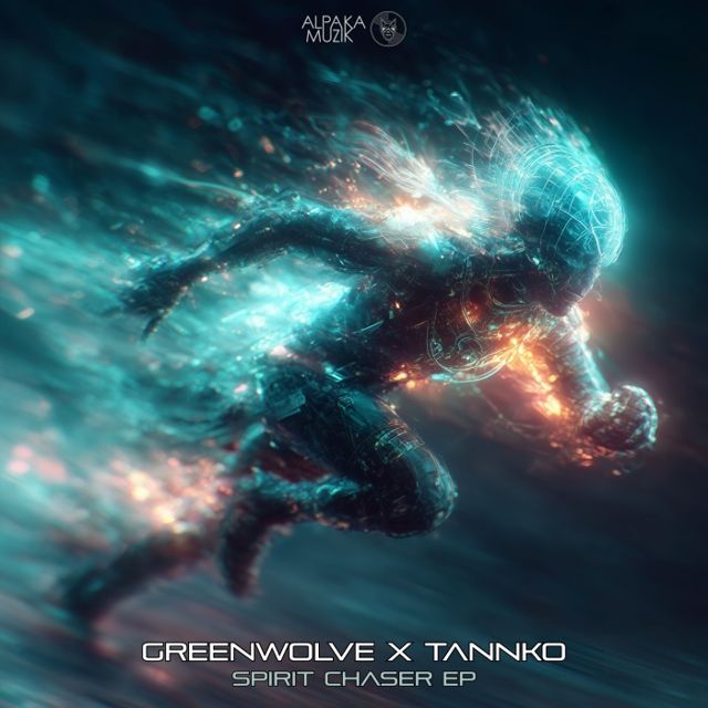 Spiritchaser cover