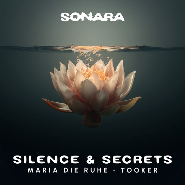 Silence & Secrets cover