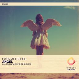 Angel cover