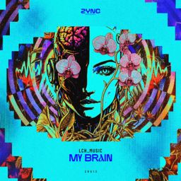 My Brain cover