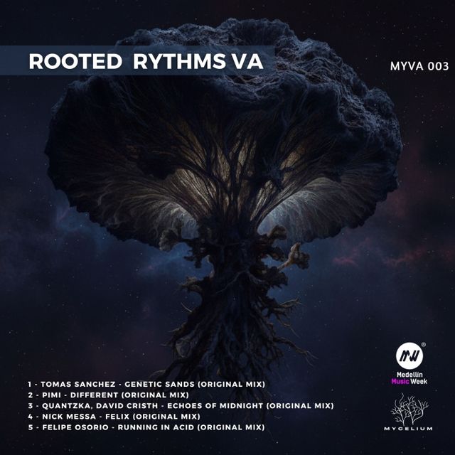 Rooted Rythms VA 3 cover