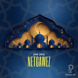 Netgawez cover