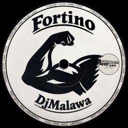 Fortino cover