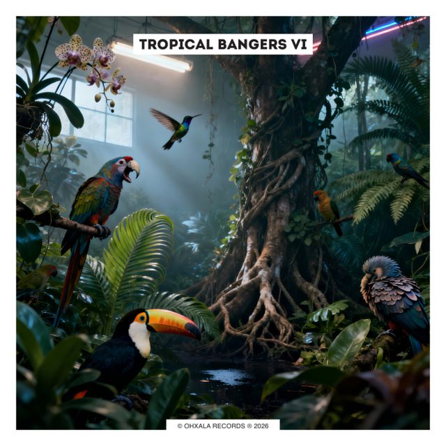 Tropical Bangers VI cover