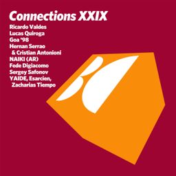Connections, Vol. XXIX cover