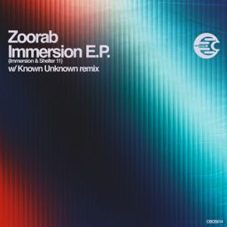 Immersion cover