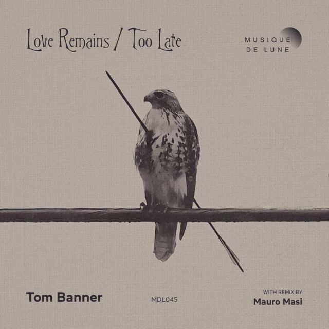 Love Remains / Too Late cover