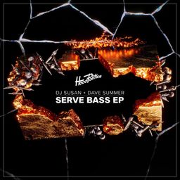 Serve Bass cover