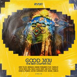 Good Juju: The Next Chapter (VA) cover