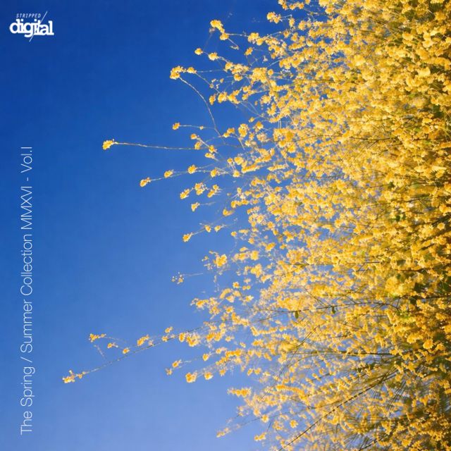 The Spring / Summer Collection MMXVI - Volume I cover