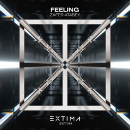 Feeling cover
