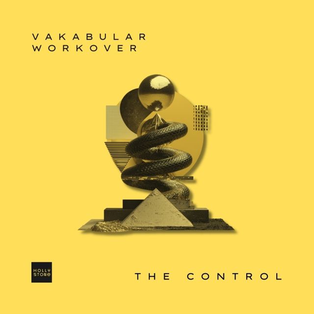 The Control cover