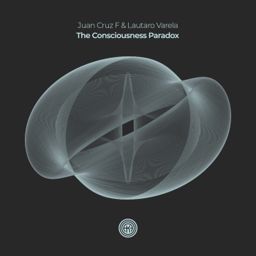 The Consciousness Paradox cover