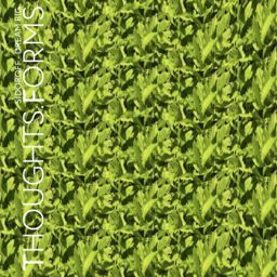 Dream Big cover
