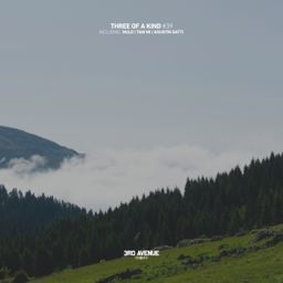 Three of a Kind #39 cover