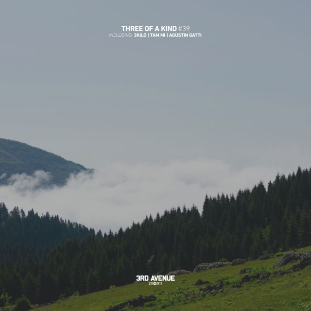 Three of a Kind #39 cover