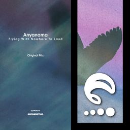 Flying With Nowhere to Land cover