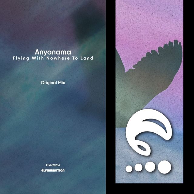 Flying With Nowhere to Land cover