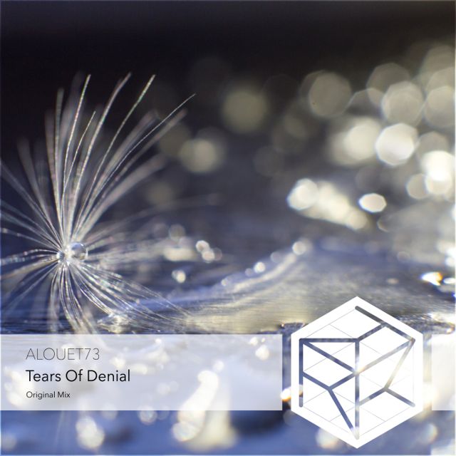 Tears of Denial cover