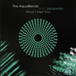 Since I Met You cover