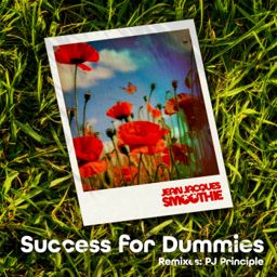 Success for Dummies cover