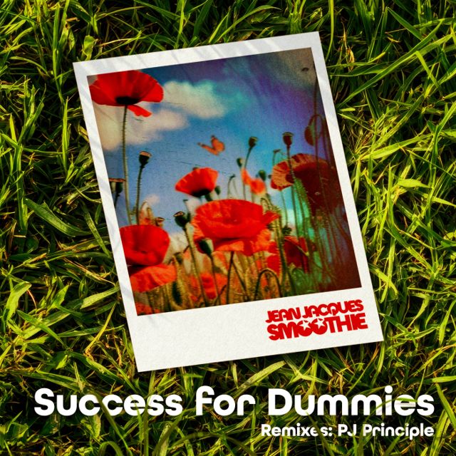 Success for Dummies cover