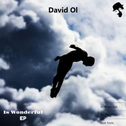 Is Wonderful cover