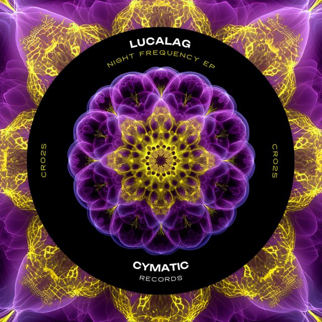 Night Frequency cover