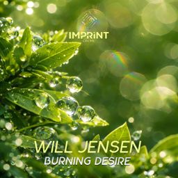 Burning Desire cover