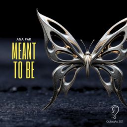 Meant to Be cover