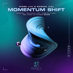 Momentum Shift cover